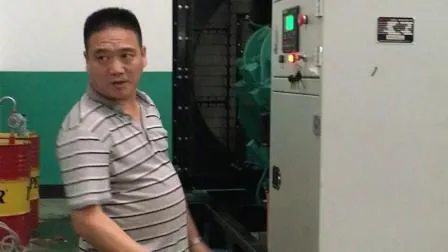 Cummins 1000kw to 1250kw Container Type Electricity Power Generator Diesel 